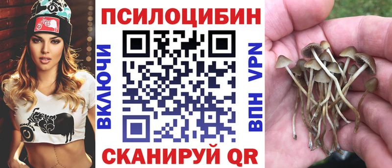 Галлюциногенные грибы GOLDEN TEACHER  Циолковский 